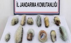 22,5 metre kaçak ağ ele geçirildi