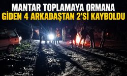 Mantar toplamaya ormana giden 4 arkadaştan 2'si kayboldu