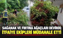 Sağanak ve fırtına ağaçları devirdi: İtfaiye ekipleri müdahale etti