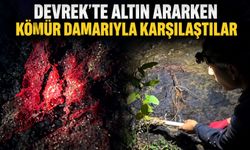 Devrek’te altın ararken kömür damarıyla karşılaştılar