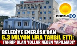 Belediye Enerjisa’dan 6,3 milyon lira tahsil etti: Tahrip olan yollar neden yapılmadı?