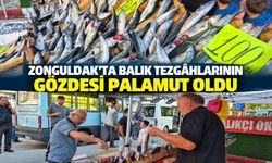 Zonguldak’ta balık tezgâhlarının gözdesi palamut oldu