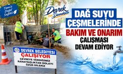 Dağ suyu çeşmelerinde bakım ve onarım çalışması devam ediyor