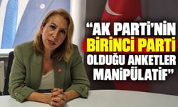 “AK Parti’nin birinci parti olduğu anketler manipülatif”