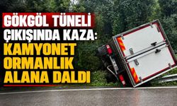 Gökgöl Tüneli çıkışında kaza: Kamyonet ormanlık alana daldı