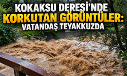 Kokaksu Deresi'nde korkutan görüntüler: Vatandaş teyakkuzda