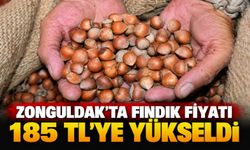 Zonguldak’ta fındık fiyatı 185 TL’ye yükseldi