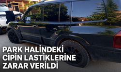Park halindeki cipin lastiklerine zarar verildi