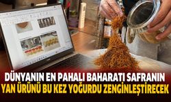 Dünyanın en pahalı baharatı safranın yan ürünü bu kez yoğurdu zenginleştirecek