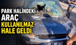 Park halindeki araç kullanılmaz hale geldi