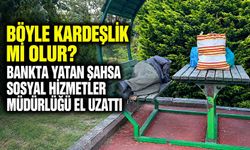 Böyle kardeşlik mi olur? Bankta yatan şahsa Sosyal Hizmetler Müdürlüğü el uzattı