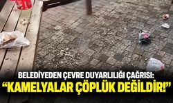 Belediyeden çevre duyarlılığı çağrısı: “Kamelyalar çöplük değildir!”