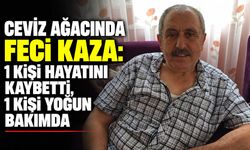 Ceviz ağacında feci kaza: 1 kişi hayatını kaybetti, 1 kişi yoğun bakımda