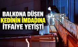 Balkona düşen kedinin imdadına itfaiye yetişti