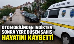Otomobilinden indikten sonra yere düşen şahıs hayatını kaybetti