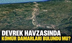 Devrek havzasında kömür damarları bulundu mu?