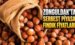 Zonguldak'ta serbest piyasa fındık fiyatları