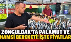 Zonguldak’ta palamut ve hamsi bereketi! İşte fiyatlar