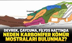 Devrek, Çaycuma, Filyos hattında neden karbonifer kömür mostraları bulunmaz?