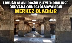 Lavuar Alanı doğru işlevlendirilirse dünyada örneği olmayan bir merkez olabilir