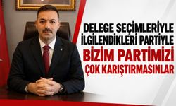 Delege seçimleriyle ilgilendikleri partiyle bizim partimizi çok karıştırmasınlar