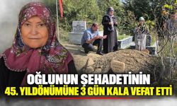 Oğlunun şehadetinin 45. yıldönümüne 3 gün kala vefat etti