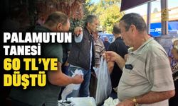 Palamutun tanesi 60 TL'ye düştü