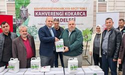 14 bin samuray arısı doğaya salındı