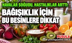Havalar soğudu, hastalıklar arttı: Bağışıklık için bu besinlere dikkat
