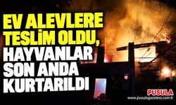 Ev alevlere teslim oldu, hayvanlar son anda kurtarıldı
