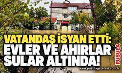 Vatandaş isyan etti: Evler ve ahırlar sular altında!