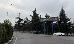 Lastik fabrikasında pres makinesine sıkışan işçi hayatını kaybetti