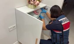 Bilişim dolandırıcılığına 2 ilde operasyon: 7 tutuklama