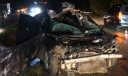 Büyükbaş hayvana çarpan otomobilin sürücüsü hayatını kaybetti