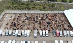 Canlı hayvan pazarları kapatıldı