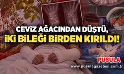 Ceviz ağacından düştü, iki bileği birden kırıldı!