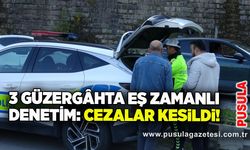 3 Güzergâhta Eş Zamanlı Denetim: Cezalar Kesildi!