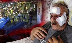 68 yaşındaki adamı muştayla darp etti