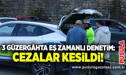 3 güzergâhta eş zamanlı denetim: Cezalar kesildi!