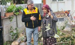 Evin üzerine devrilen ağaç kaldırıldı