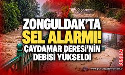 Zonguldak’ta sel alarmı! Çaydamar Deresi’nin debisi yükseldi