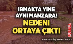 Irmakta yine aynı manzara! Nedeni ortaya çıktı