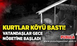 Kurtlar köyü bastı! Vatandaşlar gece nöbetine başladı