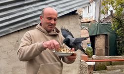 4 yıldır beslediği kargasına elleriyle balık yedirdi