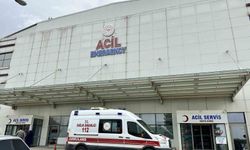 Mantar yiyen 30 kişi zehirlenme şüphesiyle hastaneye müracaat etti