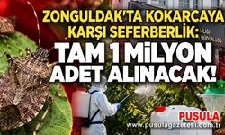 Zonguldak'ta kokarcaya karşı seferberlik: Tam 1 milyon adet alınacak!