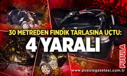 30 metreden fındık tarlasına uçtu: 4 yaralı