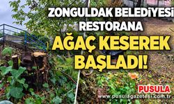 Zonguldak Belediyesi restorana ağaç keserek başladı!