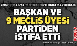 Başkan ve 9 meclis üyesi partiden istifa etti