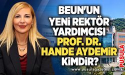 BEUN'un yeni rektör yardımcısı Prof. Dr. Hande Aydemir kimdir?